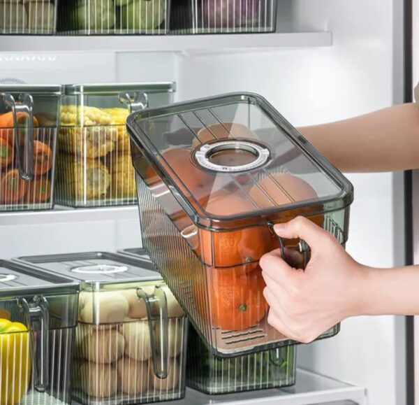Refrigerator Container